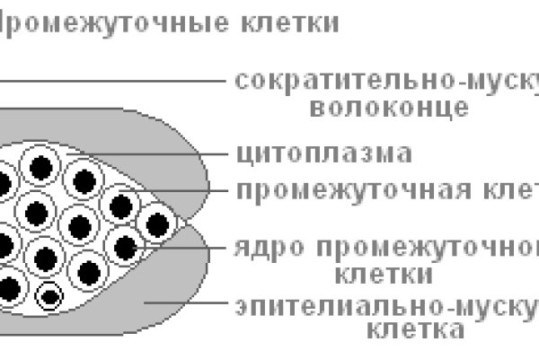 Kraken даркнет переходник