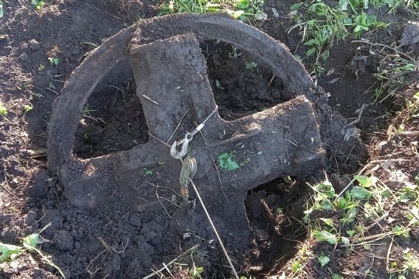 Где найти рабочую ссылку кракен