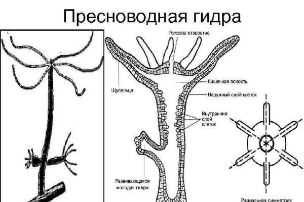 Кракен это современный даркнет