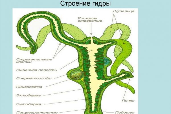 Кракен вход kr2web in