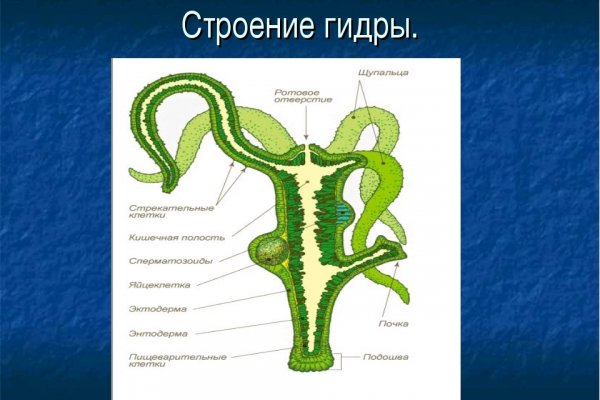 Кракен через впн