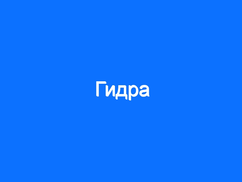 Kraken магазин